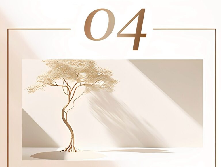 line album 官網 251212 5